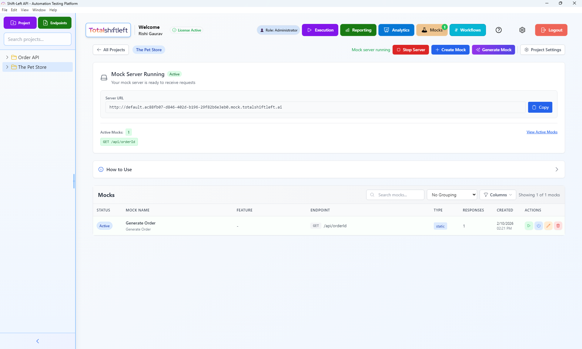 API mock server running – active mocks and standalone server URL